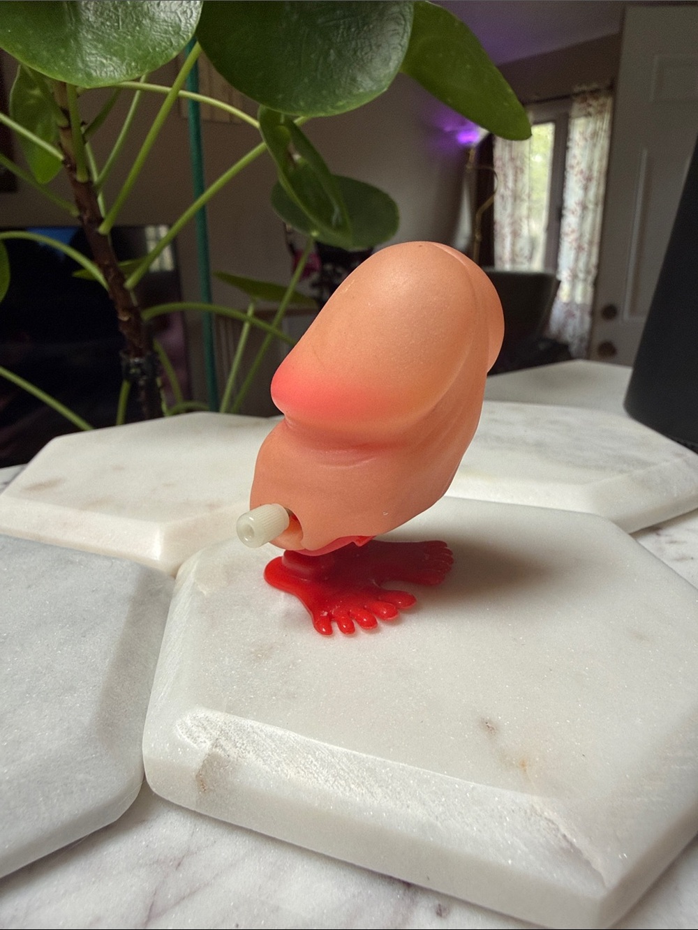 Peach & Red Novelty Toy - Unbranded